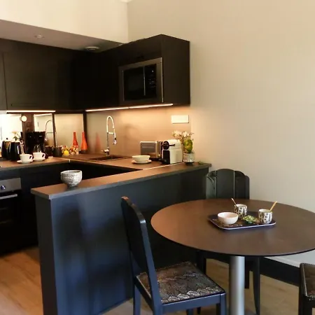 Elegant Et Confortable Au Coeur De Vichy, Pres De L'opera Et Des Parcs Napoleon Iii - Fr-1-489-303 Apartment Vichy