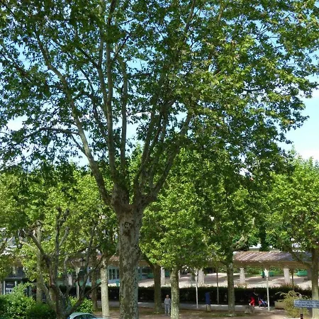 Elegant Et Confortable Au Coeur De Vichy, Pres De L'opera Et Des Parcs Napoleon Iii - Fr-1-489-303 Apartamento *